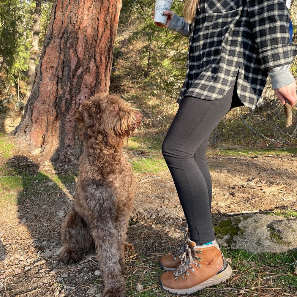 Button down - Picture 3 of 4